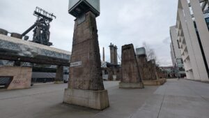 PXL_20250228_121309143.MP